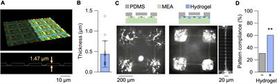 Microfluidic cell engineering on high-density microelectrode arrays for assessing structure-function relationships in living neuronal networks